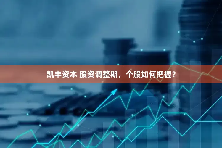 凯丰资本 股资调整期，个股如何把握？