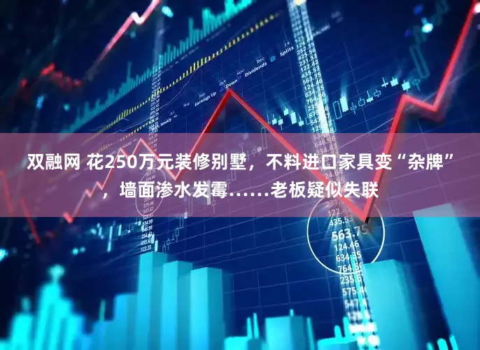 双融网 花250万元装修别墅，不料进口家具变“杂牌”，墙面渗水发霉……老板疑似失联