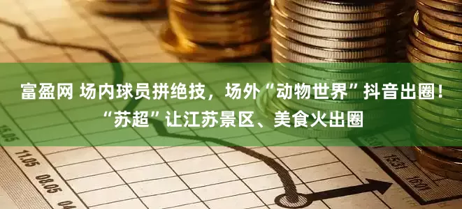 富盈网 场内球员拼绝技，场外“动物世界”抖音出圈！“苏超”让江苏景区、美食火出圈