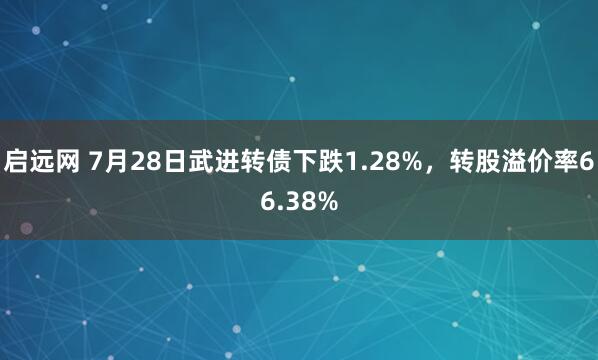 启远网 7月28日武进转债下跌1.28%，转股溢价率66.38%