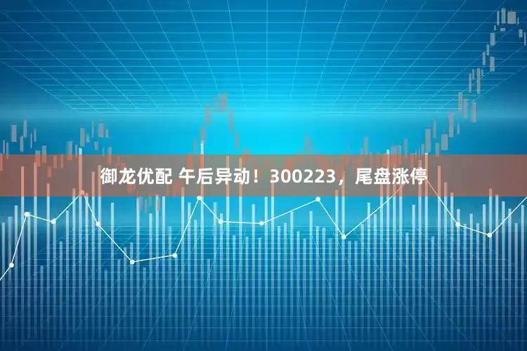御龙优配 午后异动！300223，尾盘涨停