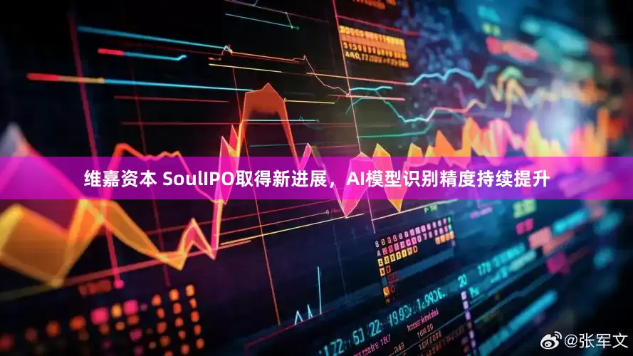 维嘉资本 SoulIPO取得新进展，AI模型识别精度持续提升